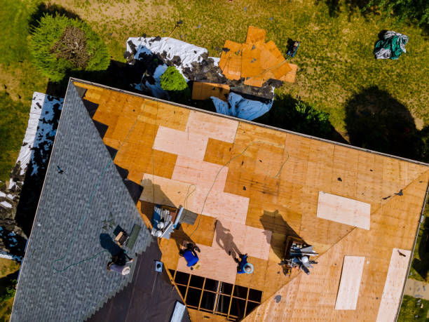 Best Roof Maintenance Services  in University, MS
