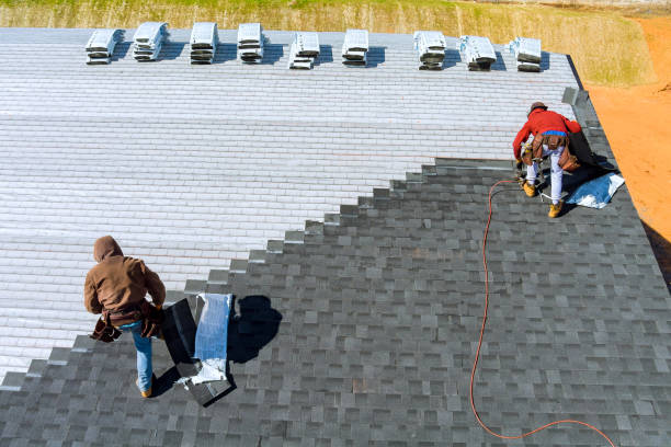 Best Roof Gutter Cleaning  in University, MS