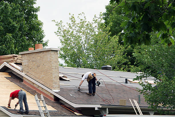 Best Storm Damage Roof Repair  in University, MS