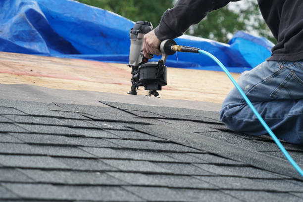 Best New Roof Installation  in University, MS