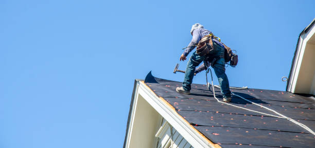 Best Shingle Roofing Installation  in University, MS